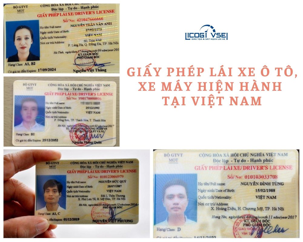 giấy phép lái xe tại việt nam